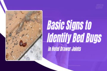 Basic Signs