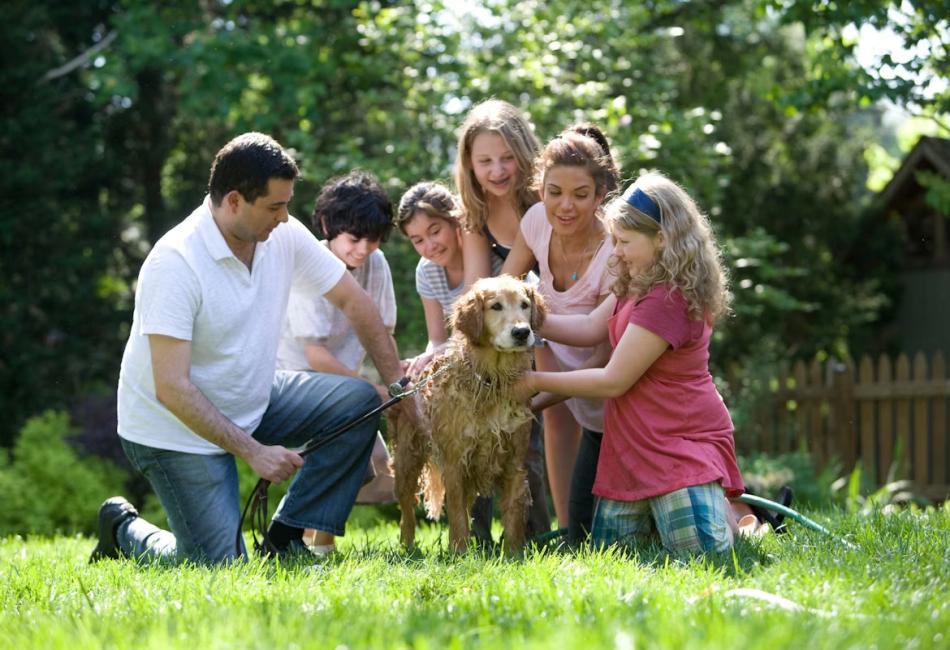 Multi-Generational Households