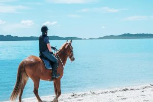 Top Reasons to Try Horseback Riding on Your Next Weekend Escape