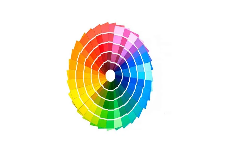Color Means Loyalty
